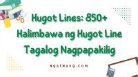 pakwan hugot lines|Hugot Lines: 850+ Halimbawa ng Hugot Line Tagalog Nagpapakilig.